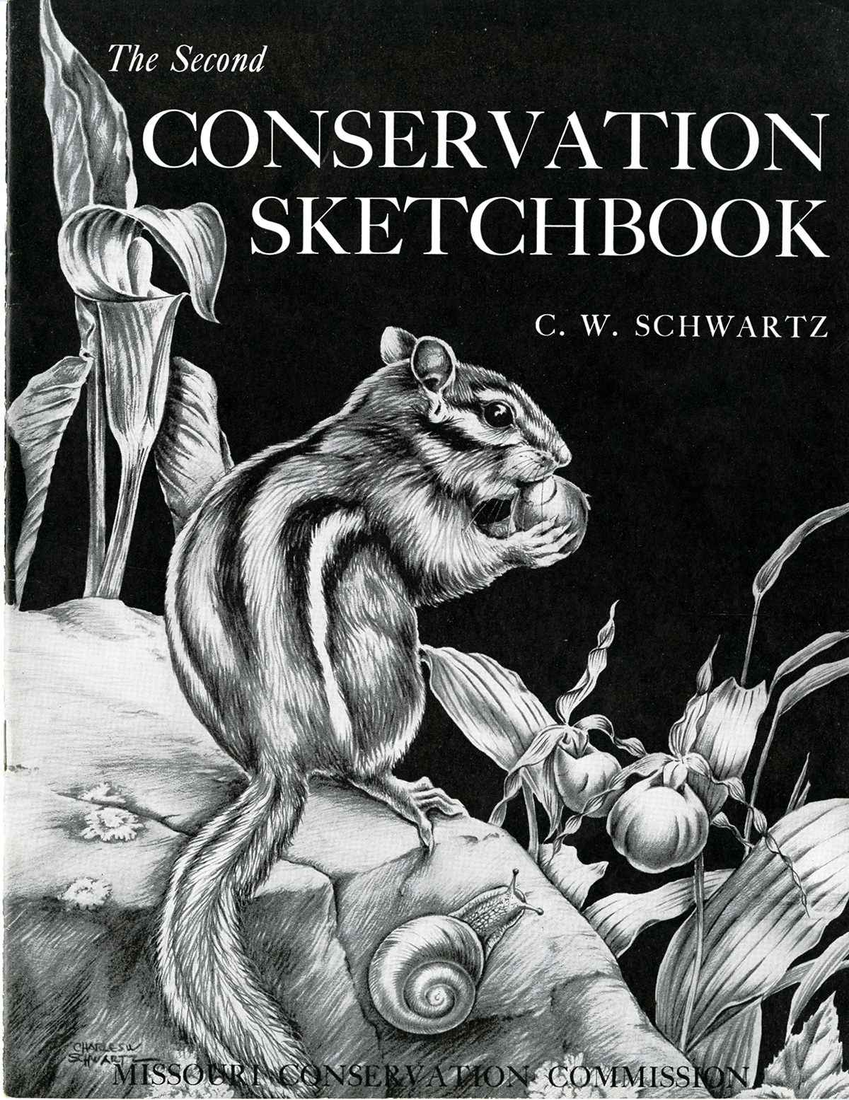 The Second Conservation Sketchbook, 1953